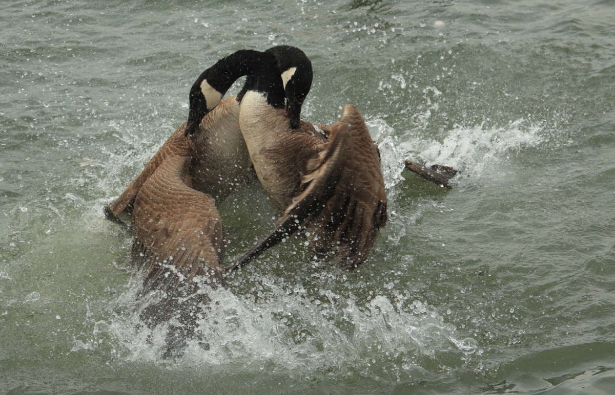 ����� ��� ������ ����� Naum Likholat �� PhotoGeek.ru #�������� ���