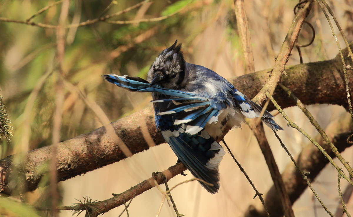 ����� ���� �������� ����� Naum Likholat �� PhotoGeek.ru #�������� ���