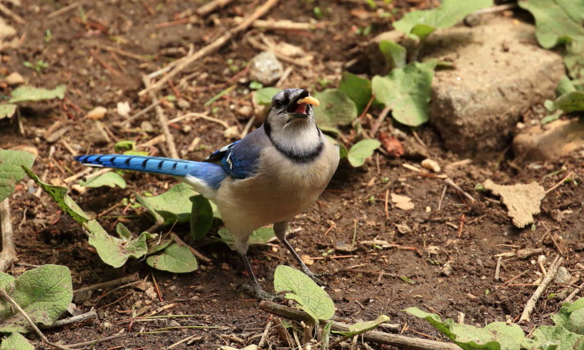 ����� ���������� ����� Naum Likholat �� PhotoGeek.ru #�������� ���