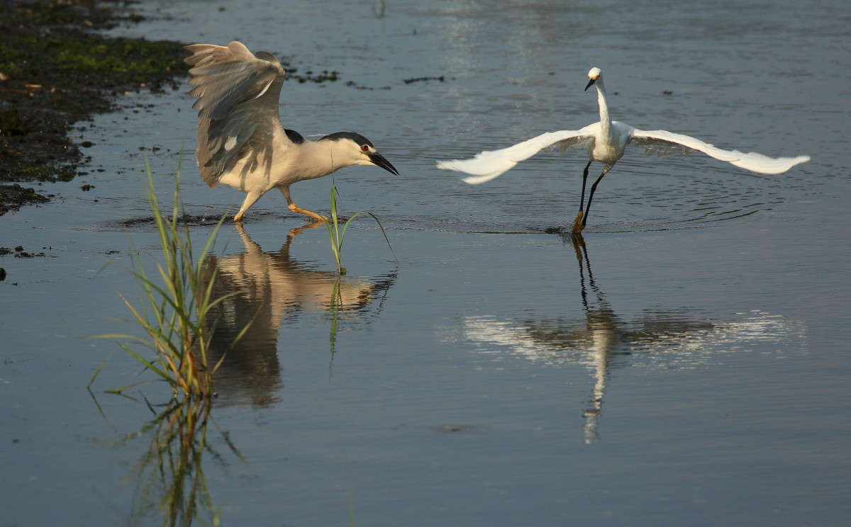 ��� ��� ��������� ����� Naum Likholat �� PhotoGeek.ru #�������� ���