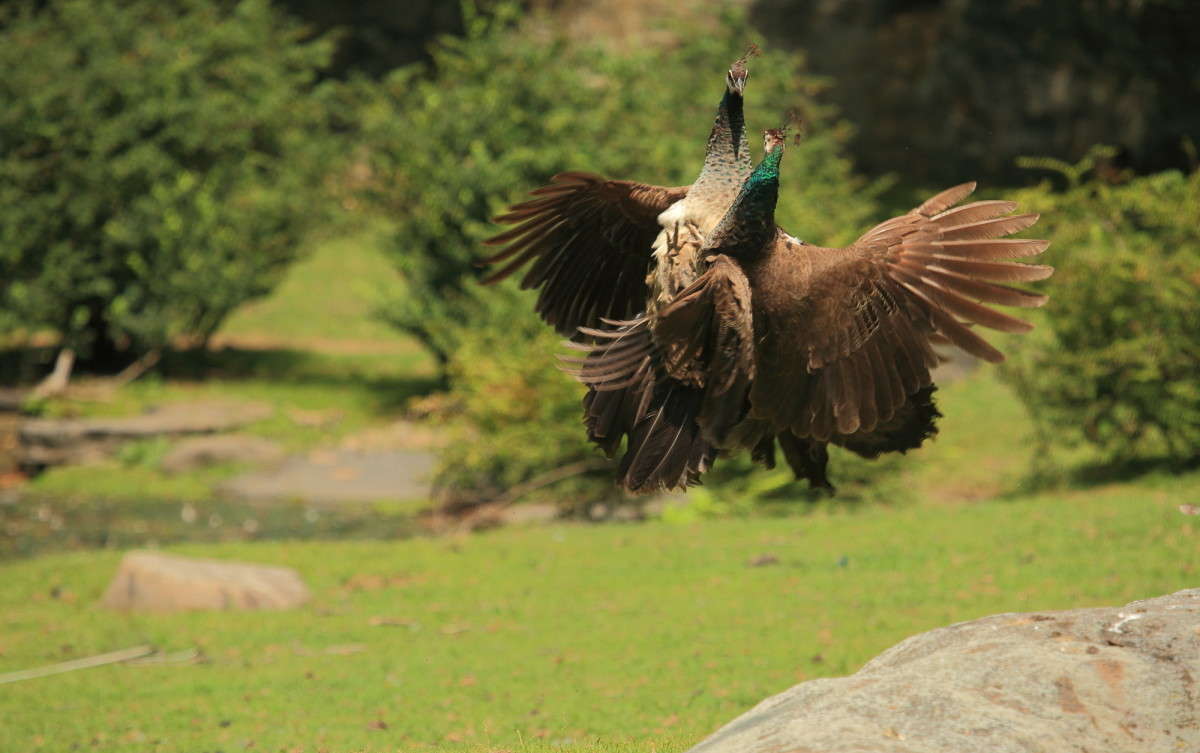 ������� ������� ��� �� �� �������� ����� Naum Likholat �� PhotoGeek.ru #�������� ���