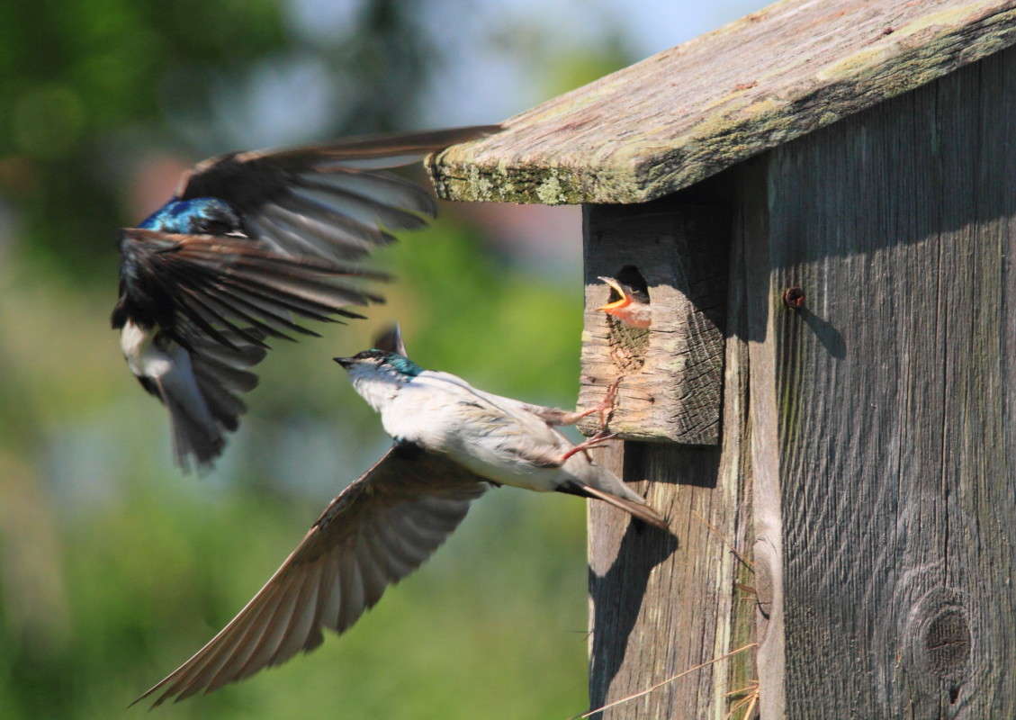 ������� � ���� ������� ������ ����� Naum Likholat �� PhotoGeek.ru #�������� ���