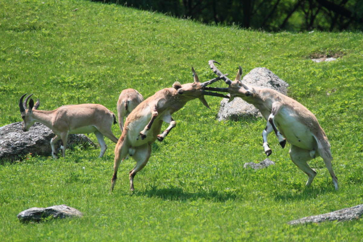 ������� ����� �����, ���� ����� �������� ����� Naum Likholat �� PhotoGeek.ru #�������� ���