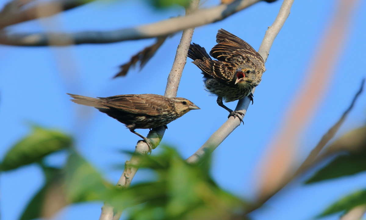 ��� ��� ����� ����� Naum Likholat �� PhotoGeek.ru #�������� ���