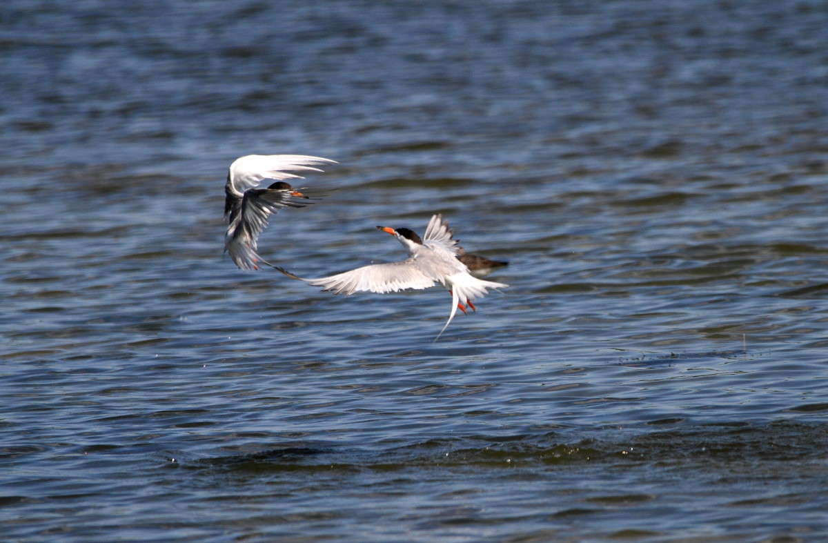 ��������� ��� ����� Naum Likholat �� PhotoGeek.ru #�������� ���