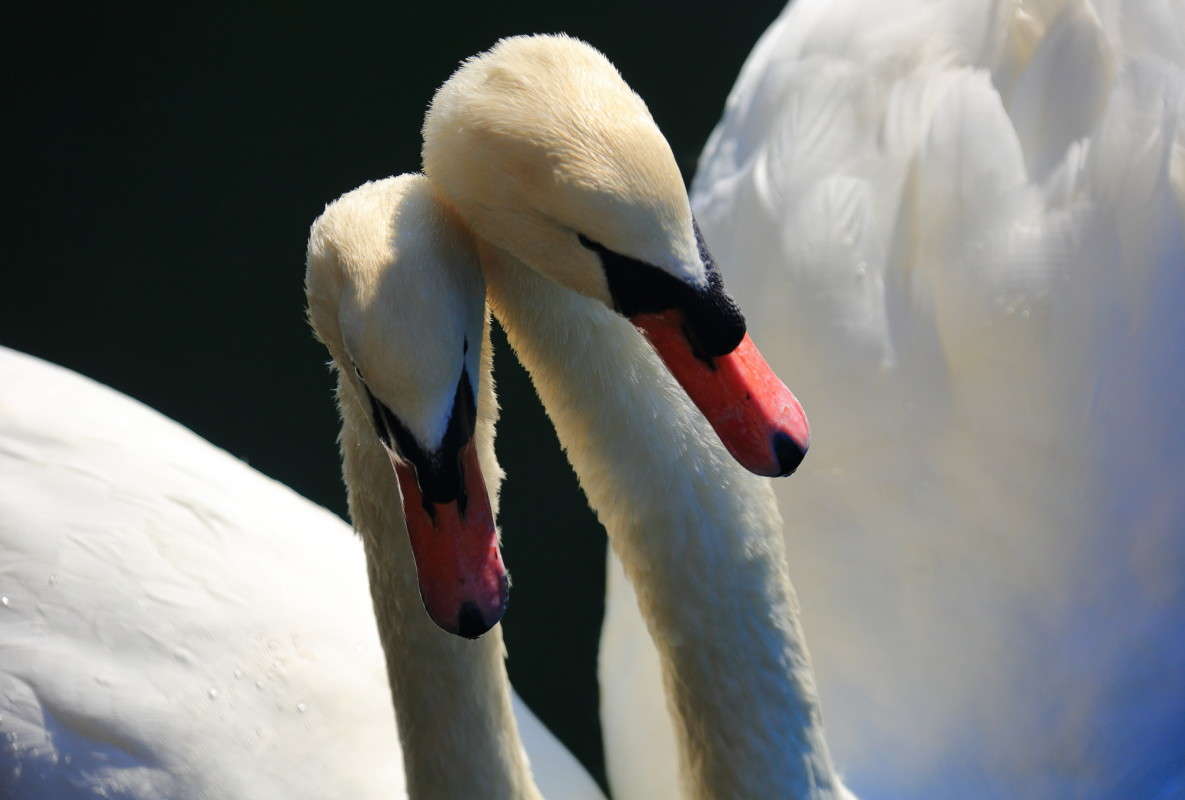 ���� �� ���� ������� � ������ ����� ����� ����� Naum Likholat �� PhotoGeek.ru #�������� ���