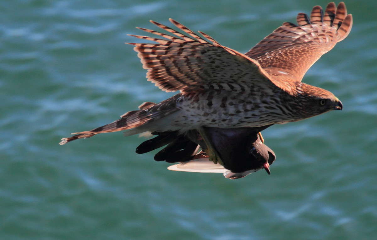 ���� �� ���� ������� � ������ ����� �������� ����� Naum Likholat �� PhotoGeek.ru #�������� ���