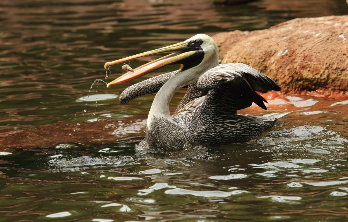 ��. ��� �� � ��� ������ ����� Naum Likholat �� PhotoGeek.ru #�������� ���