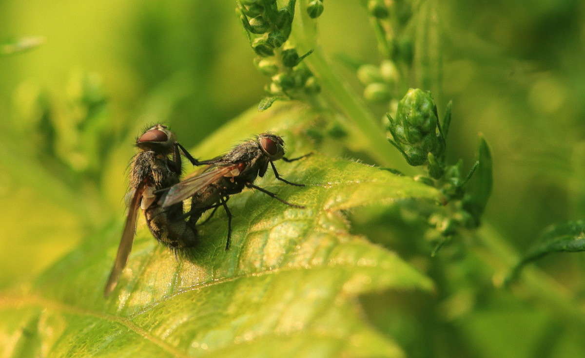 ����� ������������ 1 ����� Naum Likholat �� PhotoGeek.ru #�������� ���