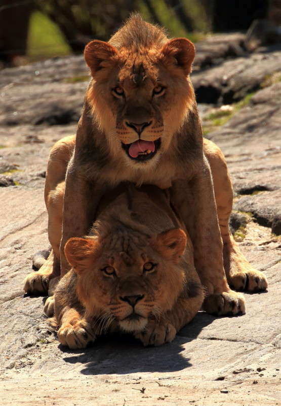 ����� ������������ 10 ����� Naum Likholat �� PhotoGeek.ru #�������� ���