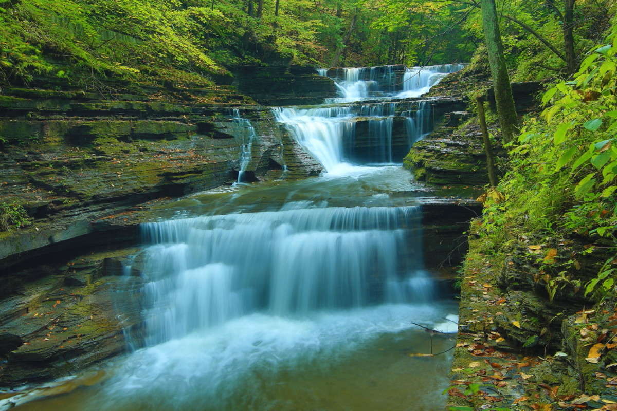 ������� Buttermilk ���� New York ����� Naum Likholat �� PhotoGeek.ru #������ ��� �������