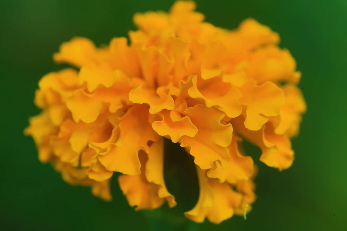 �������� ����� Naum Likholat �� PhotoGeek.ru #������ ��� �������