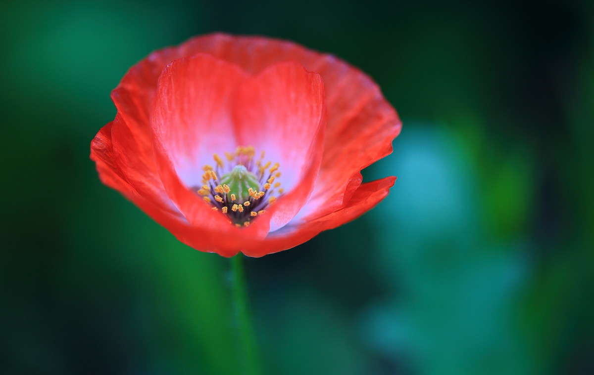 ... ����� Naum Likholat �� PhotoGeek.ru #������ ��� �������