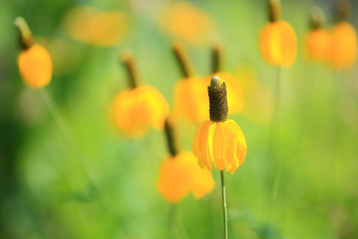 ... ����� Naum Likholat �� PhotoGeek.ru #������ ��� �������