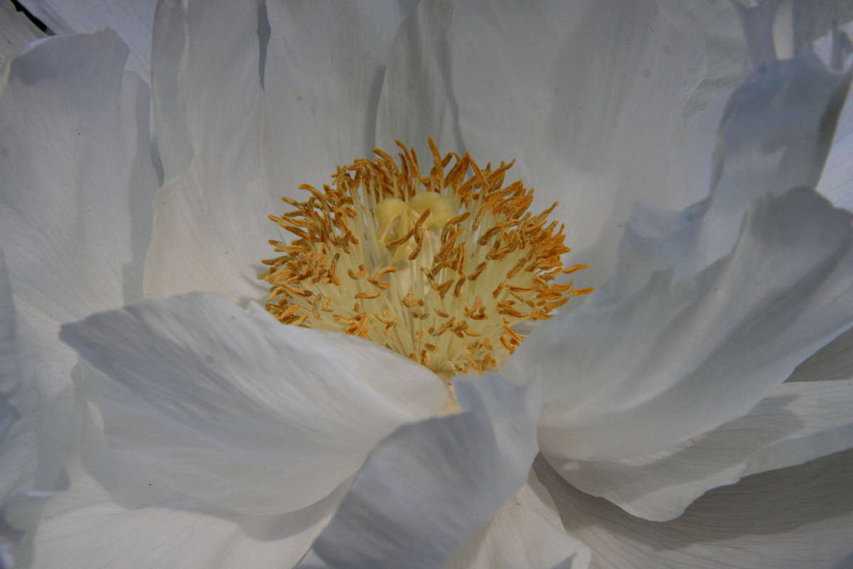 ... ����� Naum Likholat �� PhotoGeek.ru #������ ��� �������