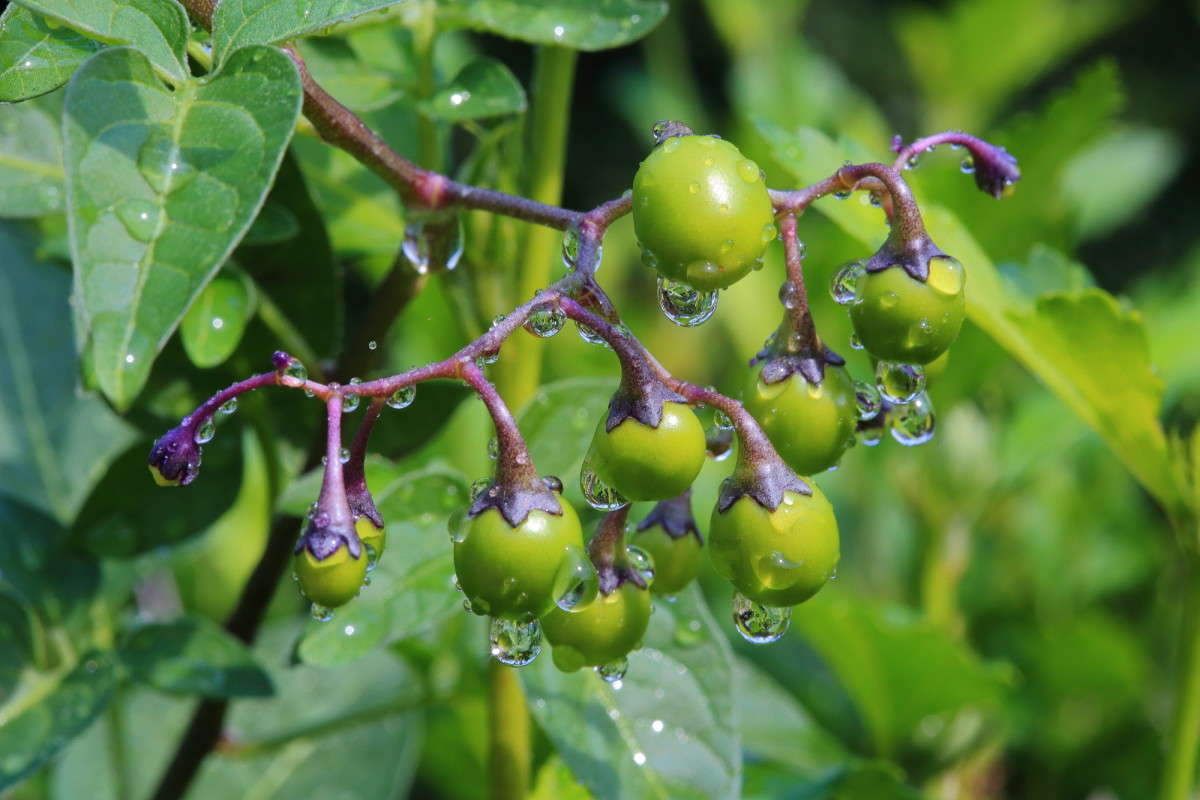 �������� ���� ����� Naum Likholat �� PhotoGeek.ru #�����