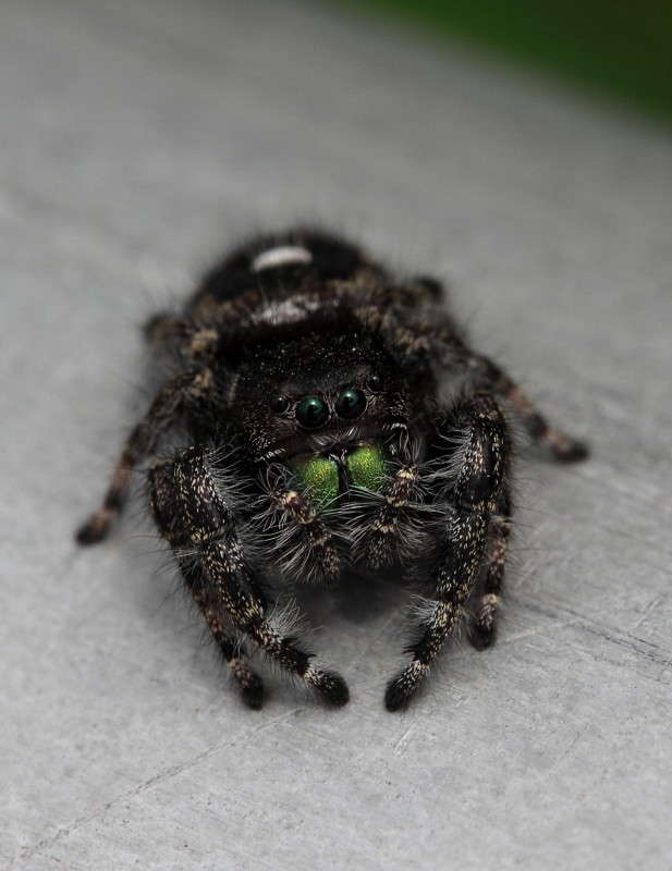 � �� �������� ����� ���� � ������ ,���� ����� ������ ��������� ����� Naum Likholat �� PhotoGeek.ru #�����