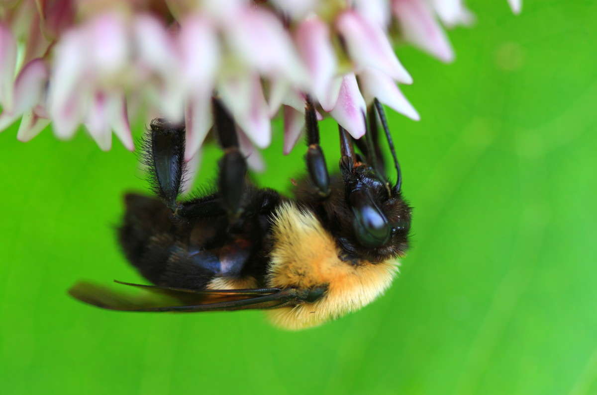 �� ����� ������� ����� Naum Likholat �� PhotoGeek.ru #�����