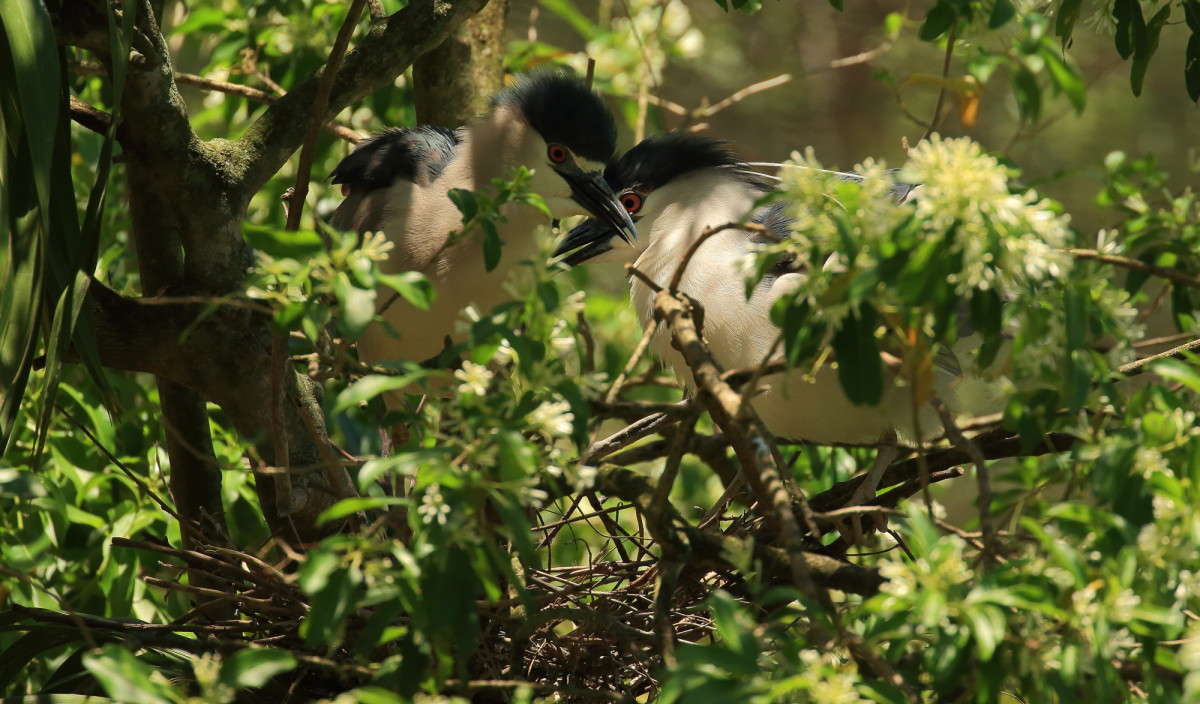 �������� ������ 2 ����� Naum Likholat �� PhotoGeek.ru #�������� ���