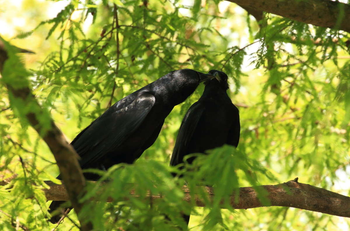 �������� ������ 3 ����� Naum Likholat �� PhotoGeek.ru #�������� ���