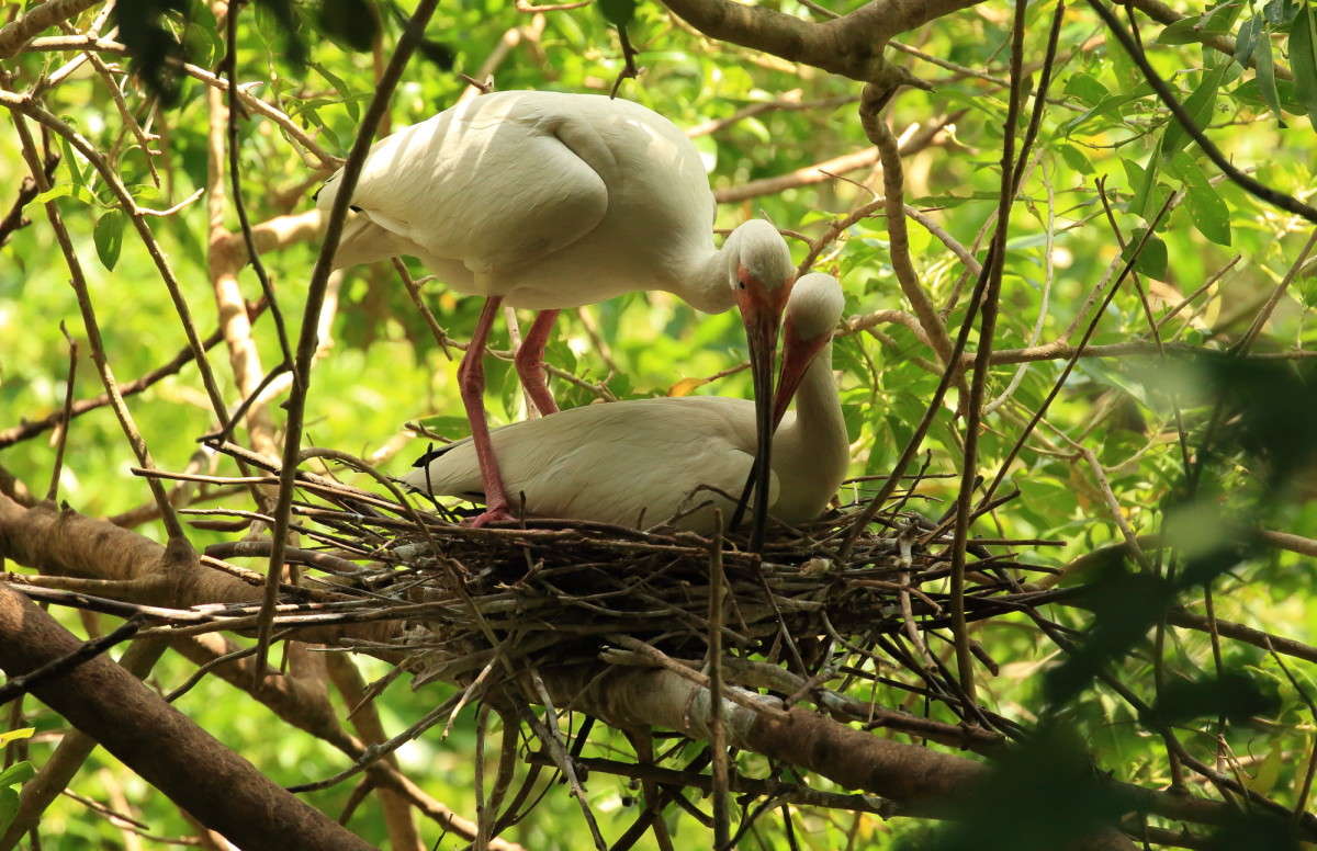 �������� ������ 4 ����� Naum Likholat �� PhotoGeek.ru #�������� ���