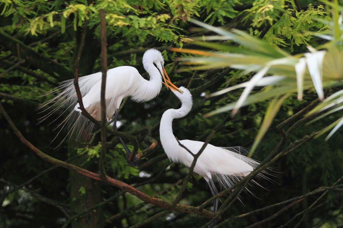 �������� ������ 5 ����� Naum Likholat �� PhotoGeek.ru #�������� ���