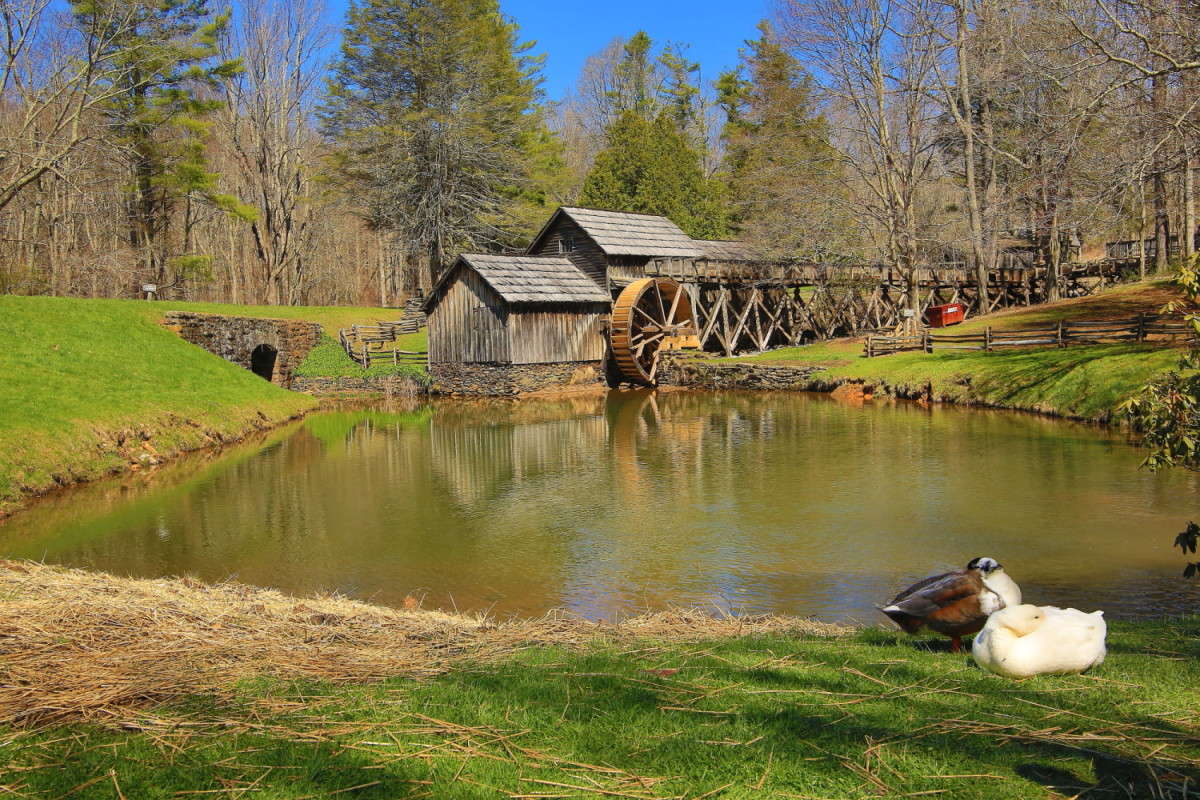 ������� �������� W.Verginia ����� Naum Likholat �� PhotoGeek.ru #������ ��� �������