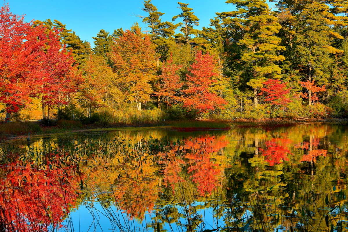 ����� ����� Naum Likholat �� PhotoGeek.ru #������ ��� �������