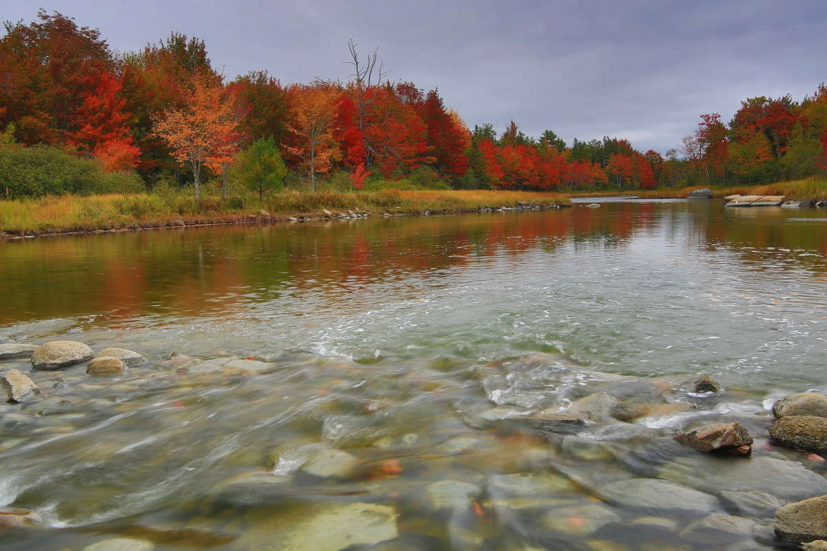 ����� 2 ����� Naum Likholat �� PhotoGeek.ru #������ ��� �������