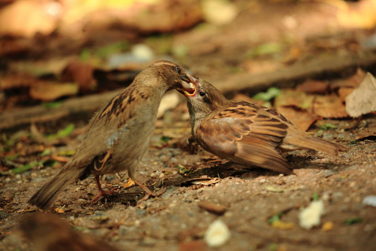 ���� ������� ����� Naum Likholat �� PhotoGeek.ru #�������� ���