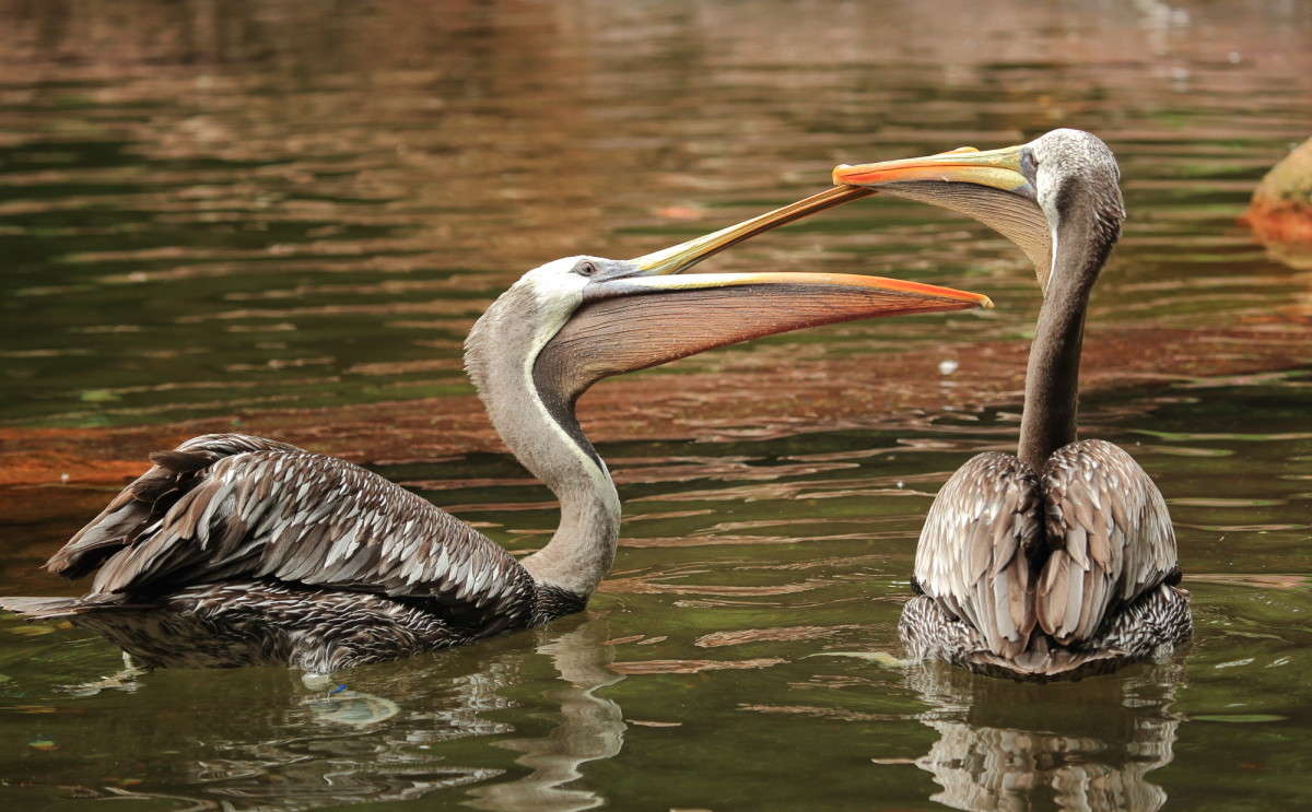 ��������� ������ 1 ����� Naum Likholat �� PhotoGeek.ru #�������� ���