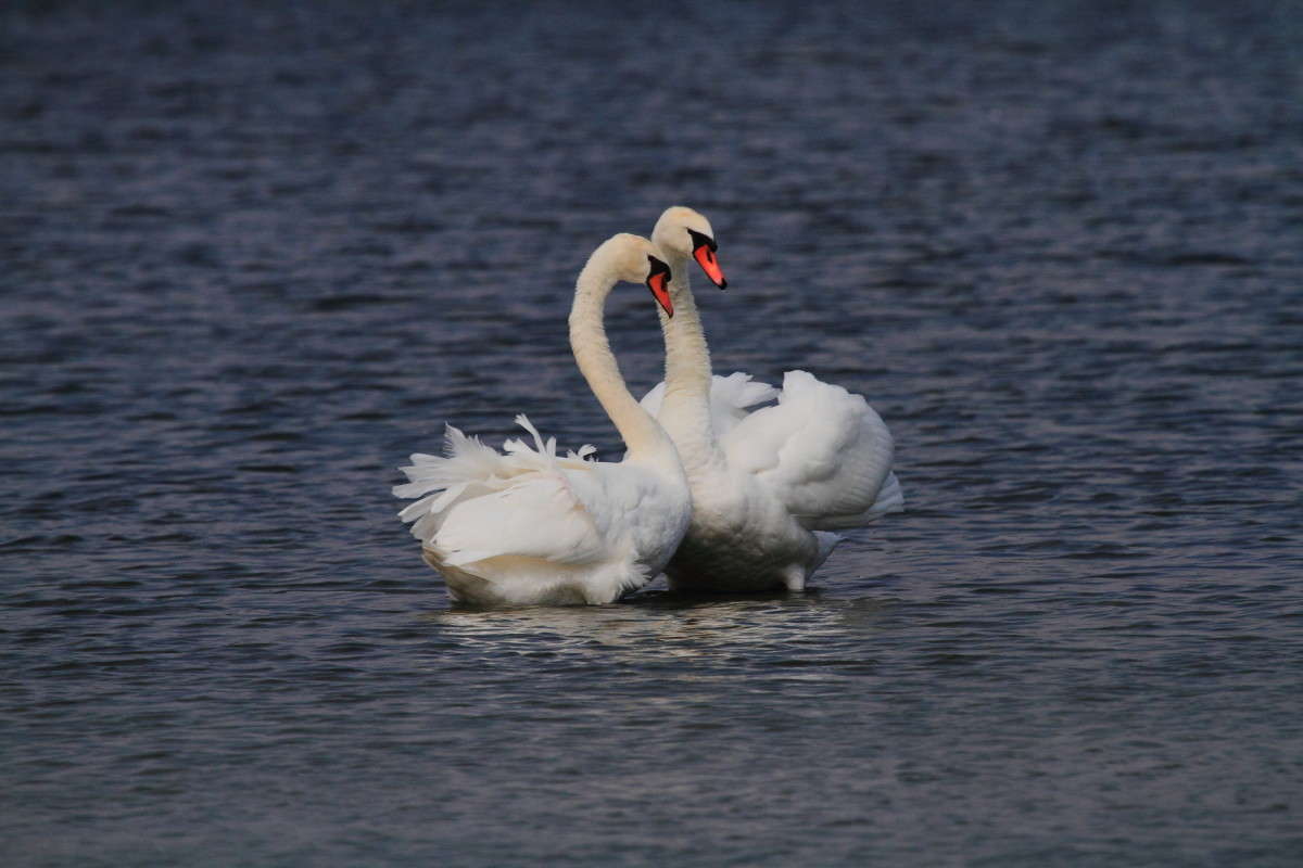 ��������� ������ 3 ����� Naum Likholat �� PhotoGeek.ru #�������� ���