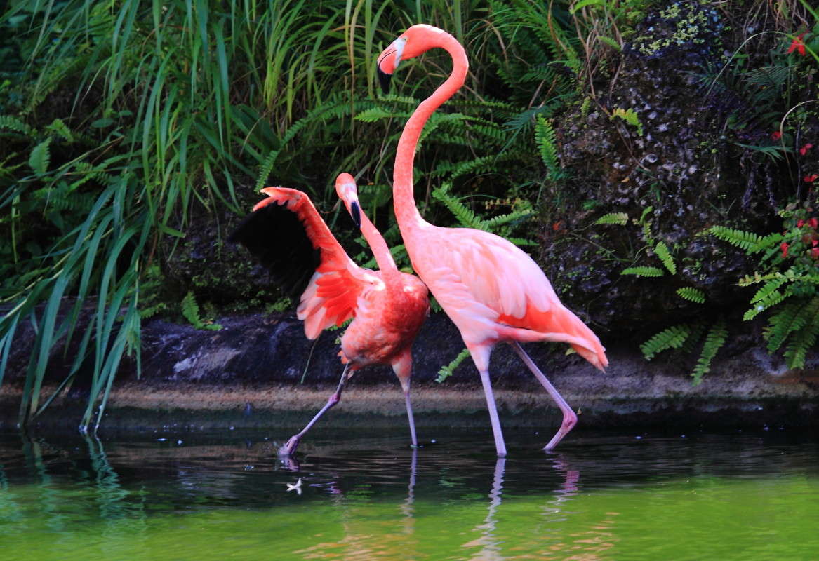 ��������� ������ 5 ����� Naum Likholat �� PhotoGeek.ru #�������� ���