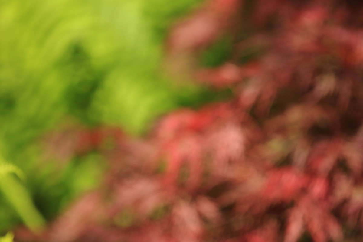 Blur 5 ����� Naum Likholat �� PhotoGeek.ru #������ ��� �������