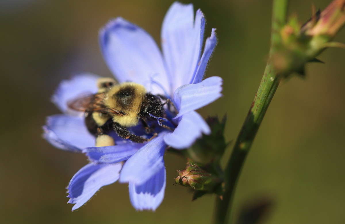 ��������� - ��� ������ ������ ����� Naum Likholat �� PhotoGeek.ru #������ ��� �������