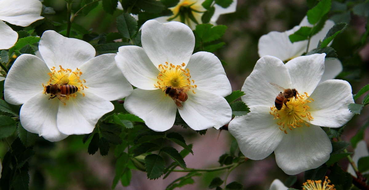 ������ �� �������� ����� Naum Likholat �� PhotoGeek.ru #������ ��� �������