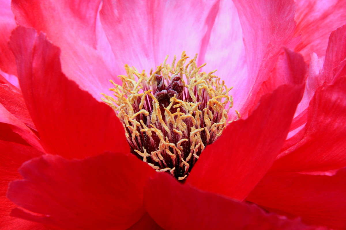 ������ ����� Naum Likholat �� PhotoGeek.ru #������ ��� �������