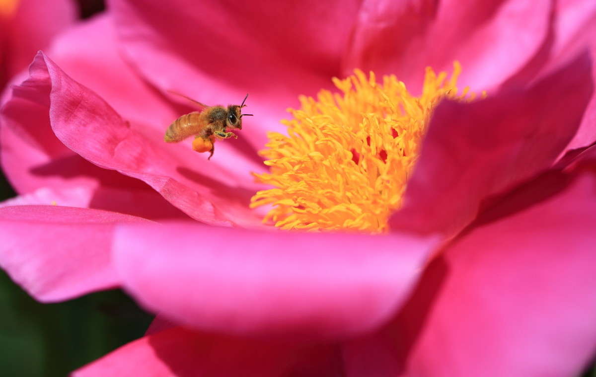 ��������� ��� �������� ����� Naum Likholat �� PhotoGeek.ru #������ ��� �������