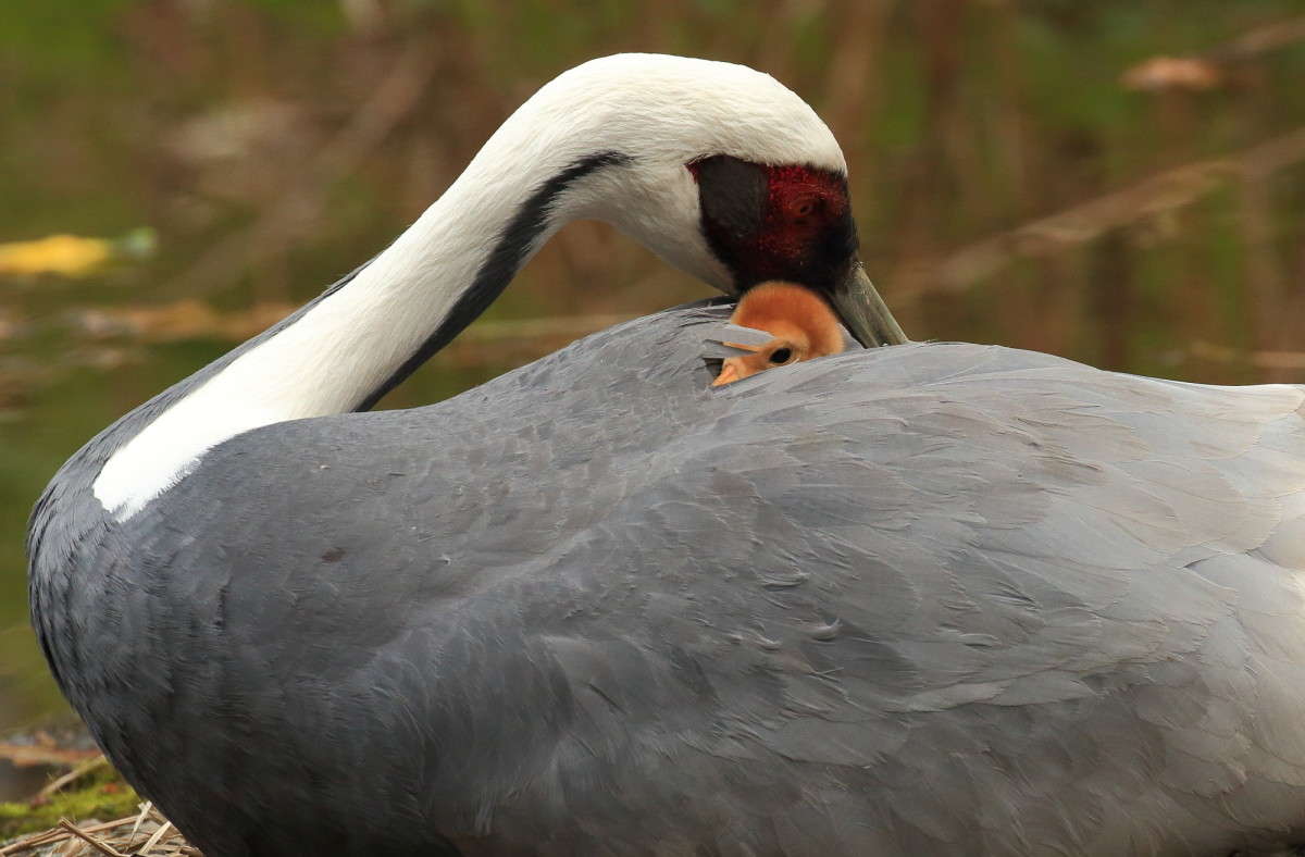 ������ ���� � ����� 2 ����� Naum Likholat �� PhotoGeek.ru #�������� ���