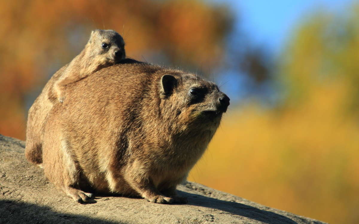 ������ ���� � ����� 3 ����� Naum Likholat �� PhotoGeek.ru #�������� ���