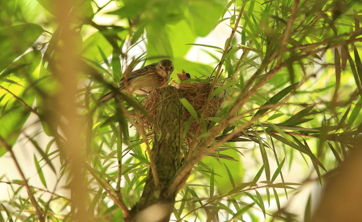 ������ ���� � ����� 5 ����� Naum Likholat �� PhotoGeek.ru #�������� ���