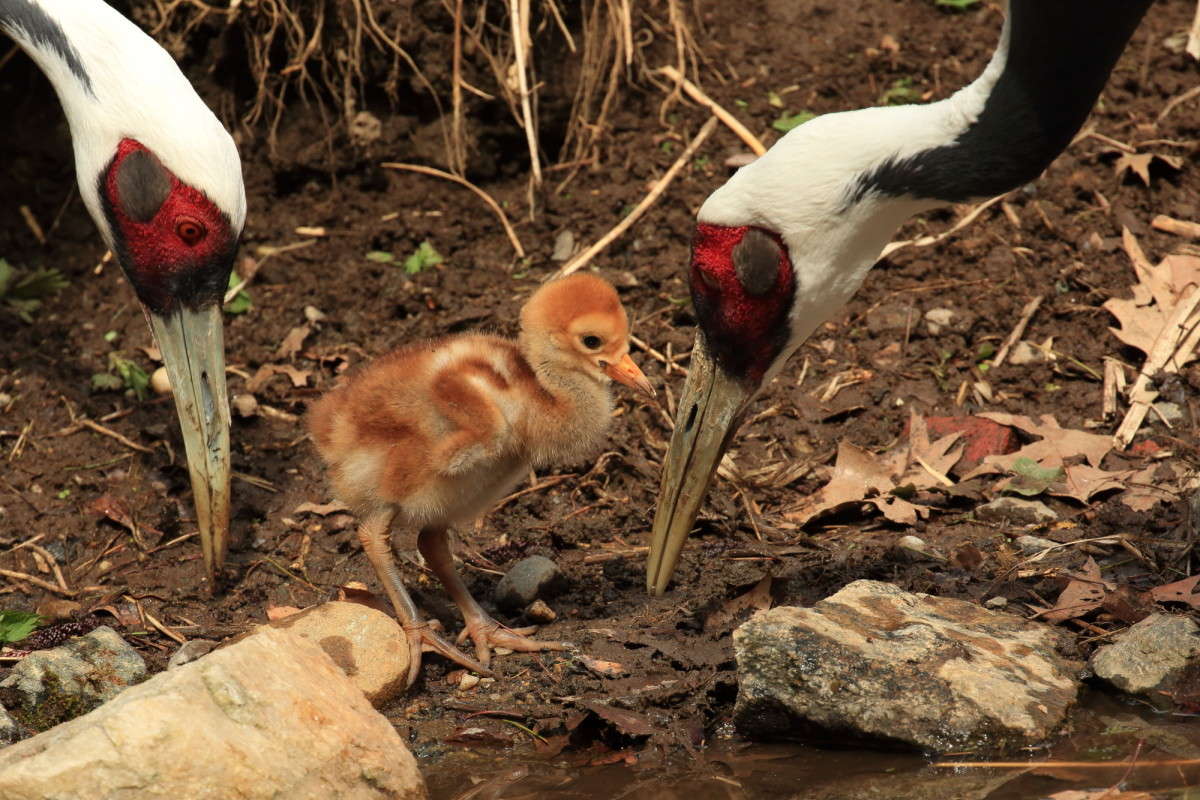 ������ ������ �������� � ������ ����� Naum Likholat �� PhotoGeek.ru #�������� ���