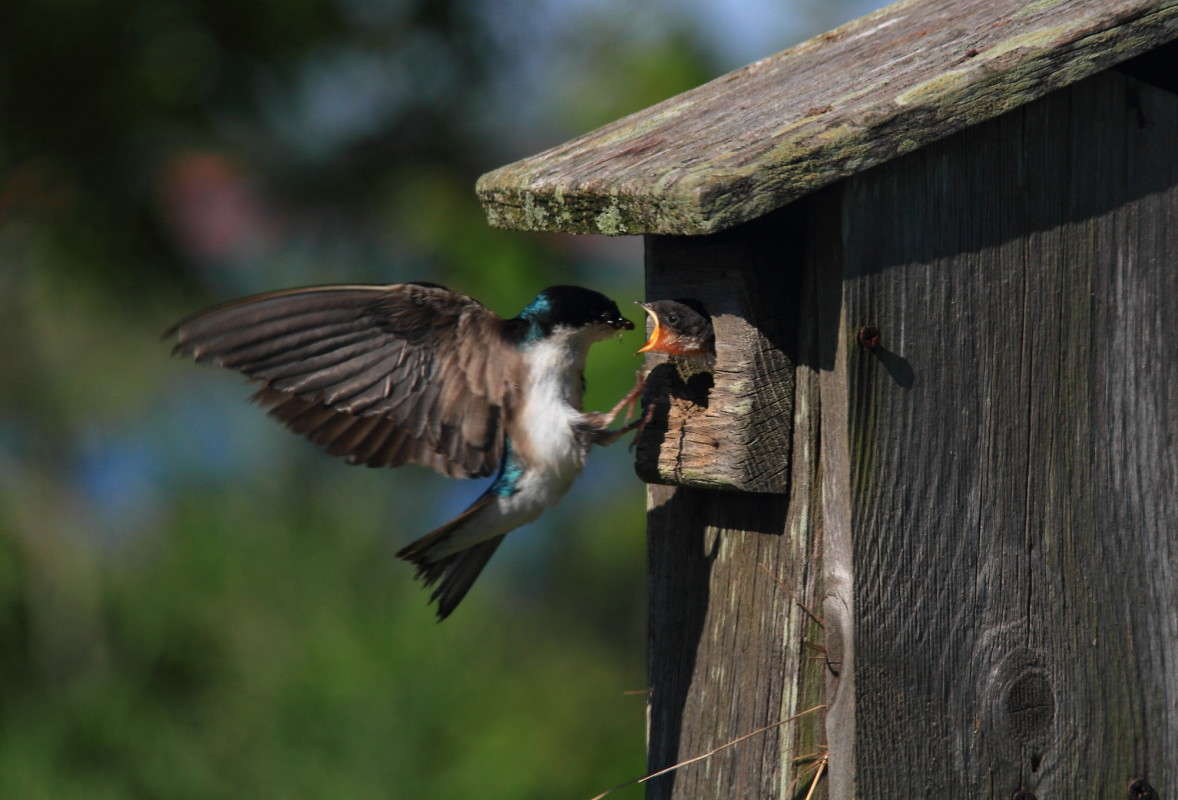 �� ������� ��, � �� �������� ����� Naum Likholat �� PhotoGeek.ru #�������� ���