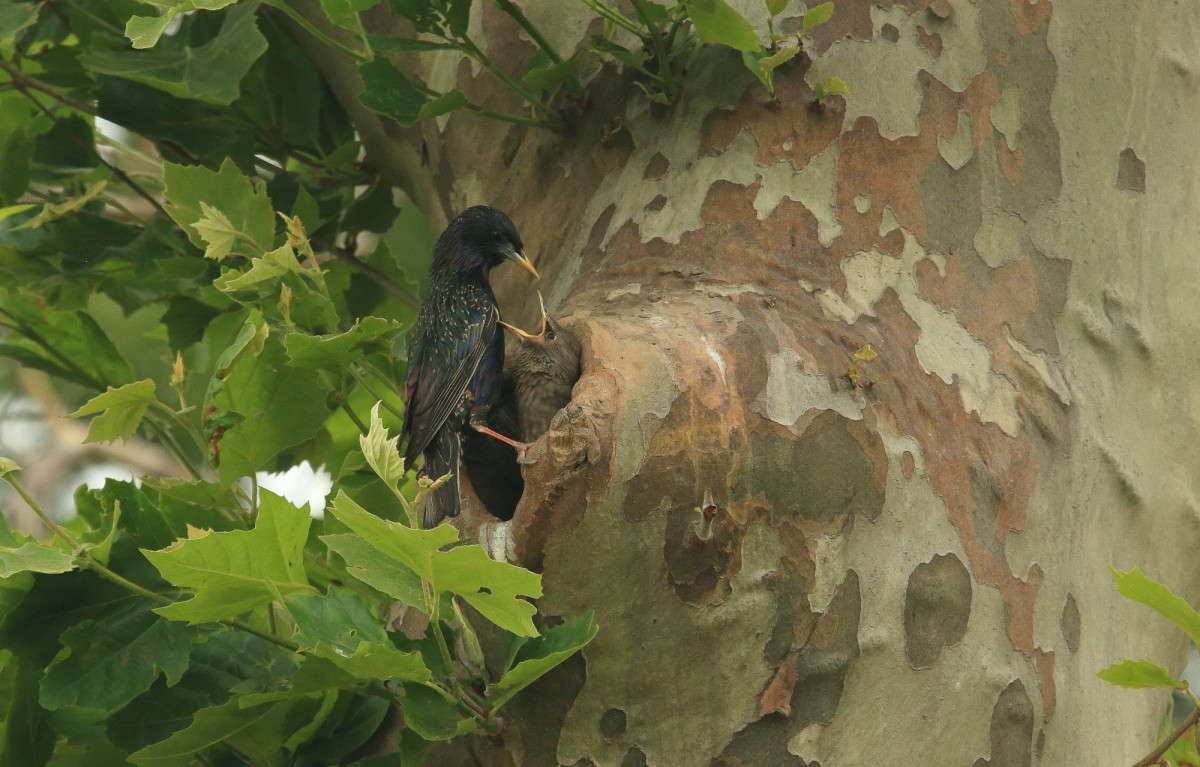 � �� �����, � ���� ���������� ? ����� Naum Likholat �� PhotoGeek.ru #�������� ���