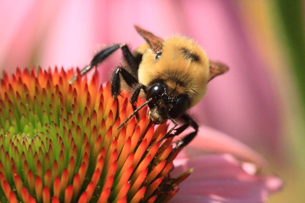 ���� ������ ����� Naum Likholat �� PhotoGeek.ru #�����