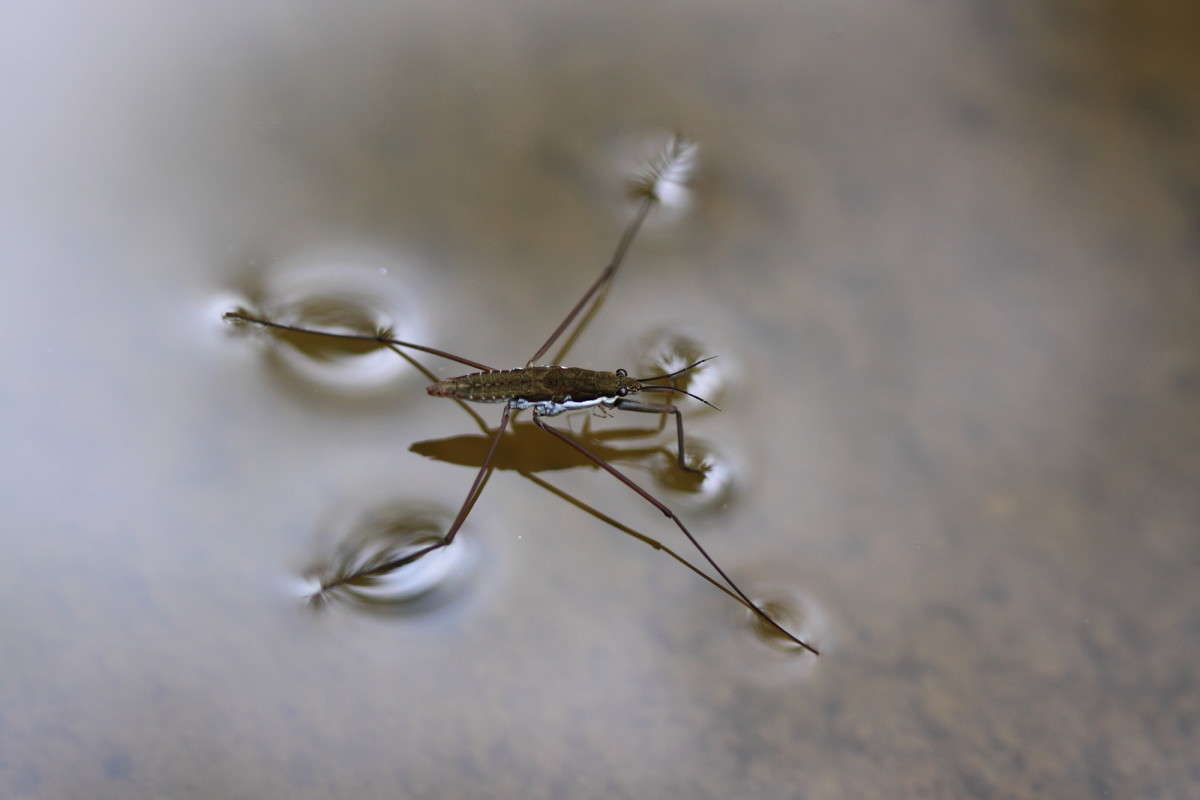 ... ����� Naum Likholat �� PhotoGeek.ru #�����