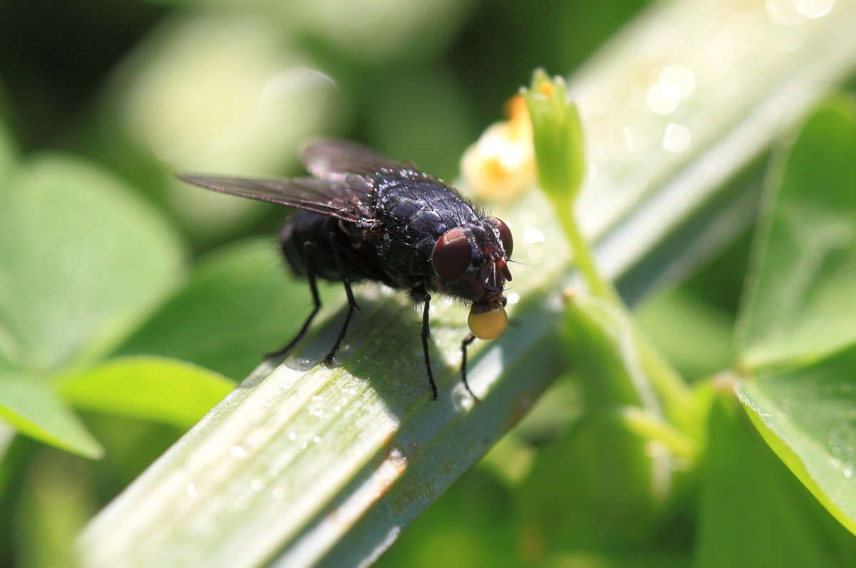 ������� �����, ������ ��������� ����� Naum Likholat �� PhotoGeek.ru #�����