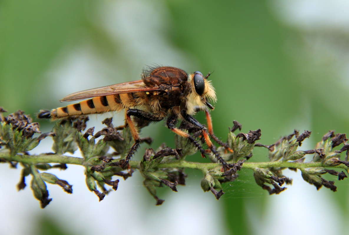 ... ����� Naum Likholat �� PhotoGeek.ru #�����