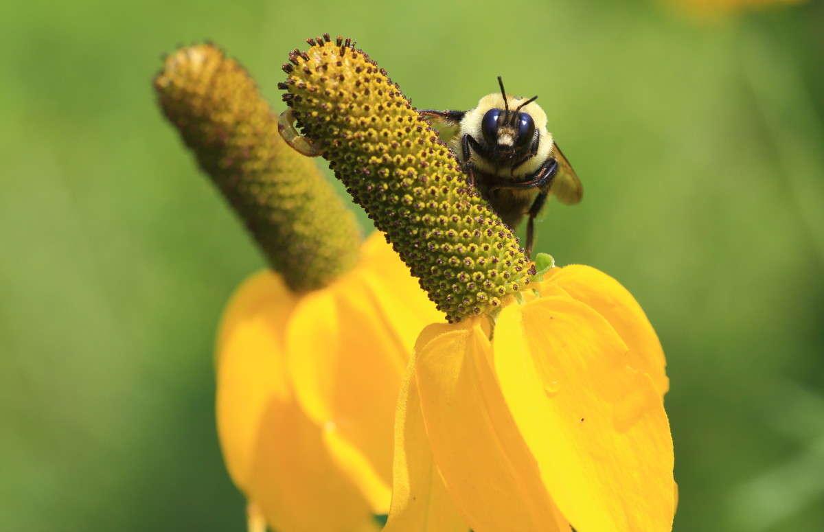 ����� ��� �� ���� ? ����� Naum Likholat �� PhotoGeek.ru #�����