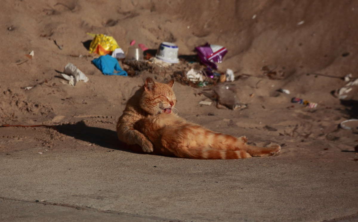 �������� �� ����� ����� Naum Likholat �� PhotoGeek.ru #�������� ���